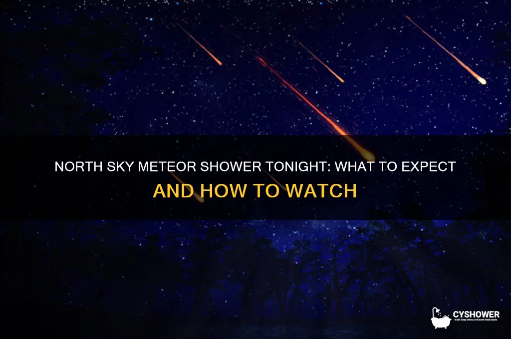is the meteor shower in the north sky tonight