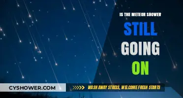 Is the Meteor Shower Still Visible Tonight? Check Now!