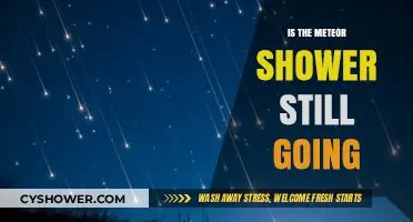 Is the Meteor Shower Still Visible Tonight? Find Out Here