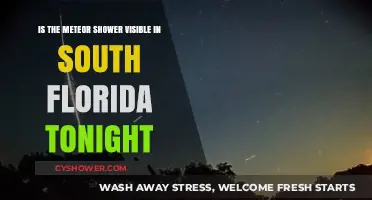 South Florida's Night Sky: Meteor Shower Visibility Tonight Explained