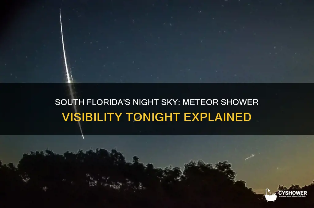 is the meteor shower visible in south florida tonight