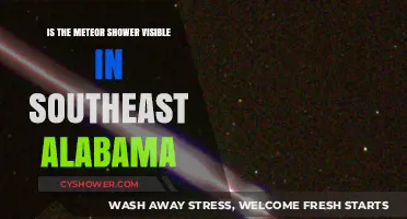 Southeast Alabama's Night Sky: Meteor Shower Visibility Guide