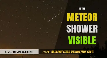 Can You Spot the Meteor Shower Tonight? Visibility Guide