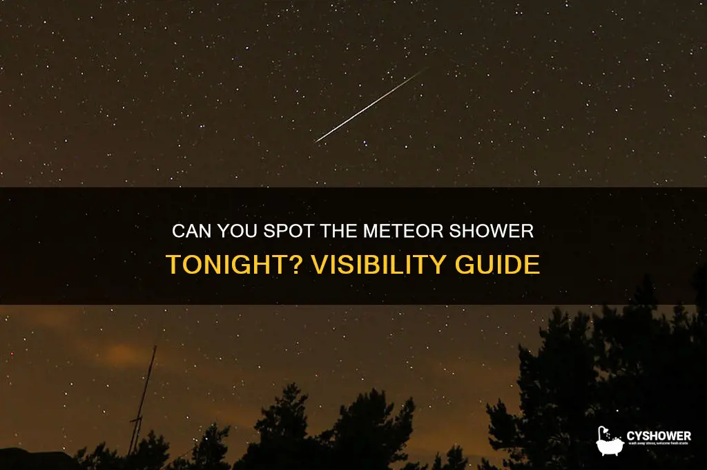 is the meteor shower visible