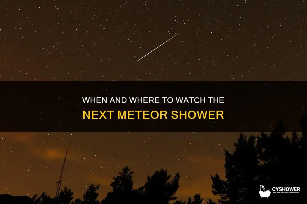 is the next meteor shower