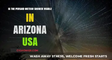 Can Arizonans Spot the Perseid Meteor Shower This Year?