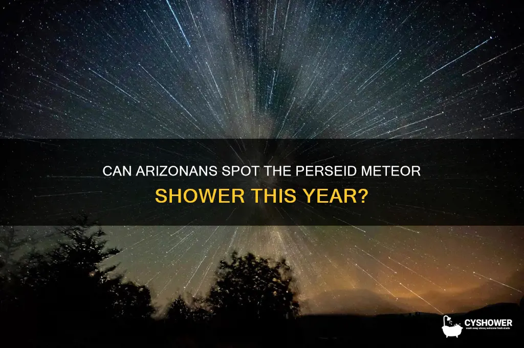 is the persaid meteor shower visible in arizona usa