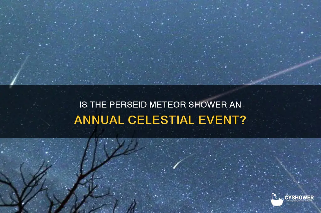 is the perseid meteor shower annual
