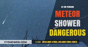 Are Perseid Meteor Showers a Threat to Earth or Humans?