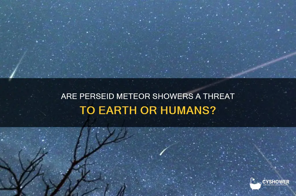 is the perseid meteor shower dangerous