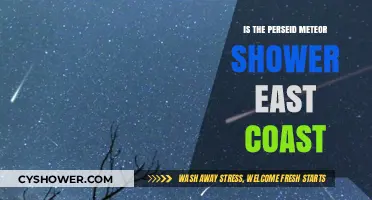 Perseid Meteor Shower East Coast: Where and When to Watch