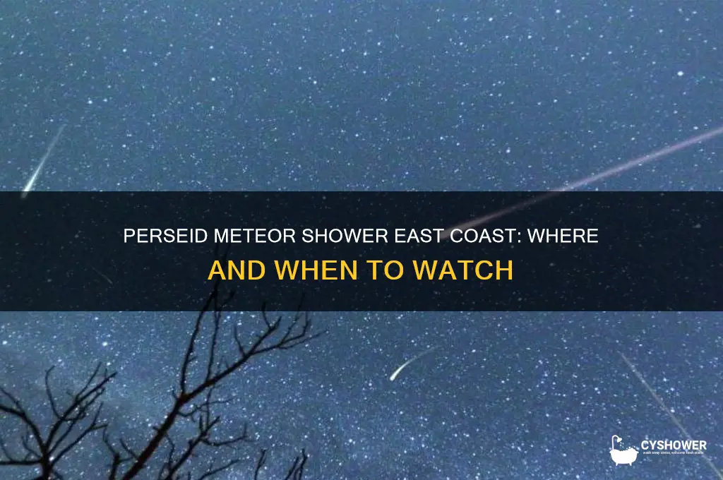 is the perseid meteor shower east coast