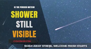 Can You Still See the Perseid Meteor Shower Tonight?