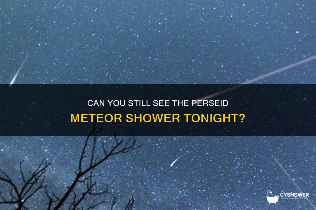 is the perseid meteor shower still visible