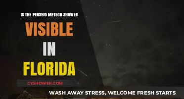 Can Floridians See the Perseid Meteor Shower This Year?