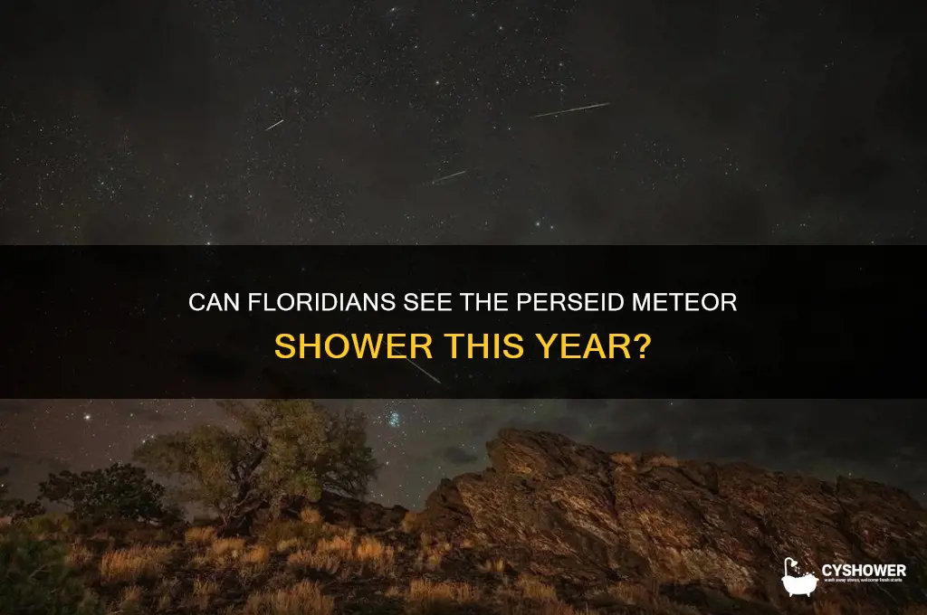 is the perseid meteor shower visible in florida