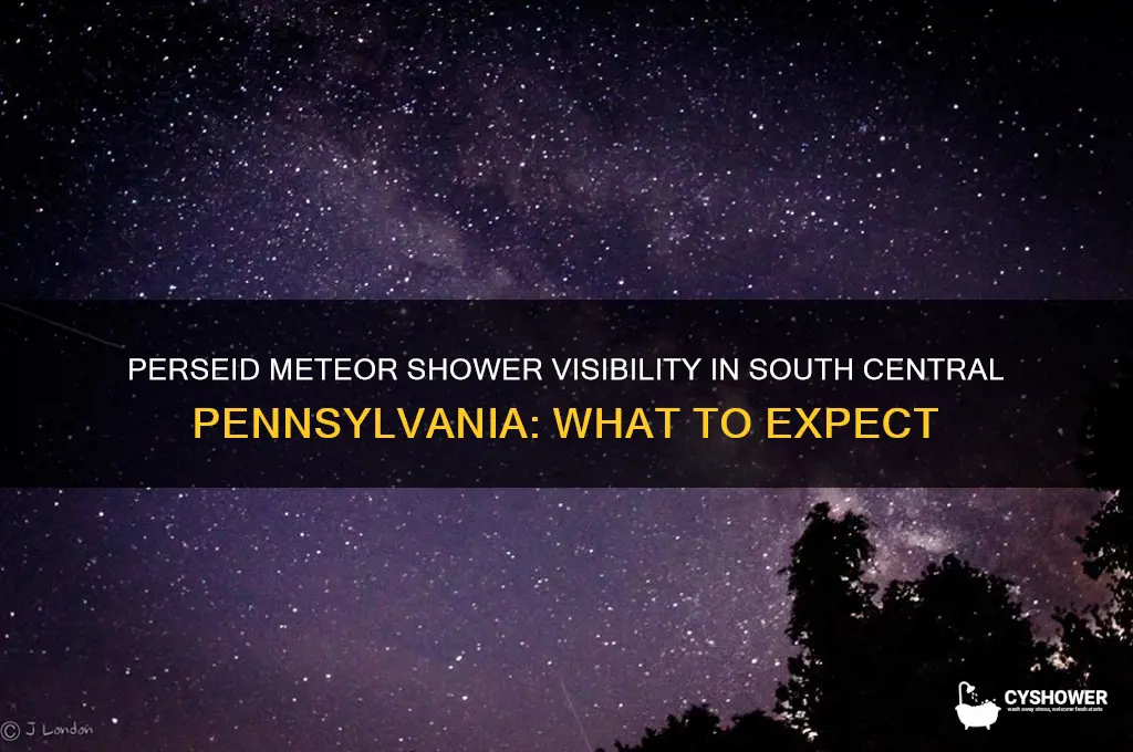 is the perseid meteor shower visible in south central pa
