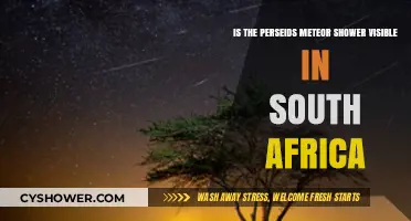 Perseids Meteor Shower Visibility in South Africa: What to Expect
