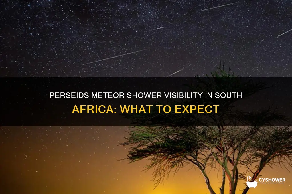 is the perseids meteor shower visible in south africa