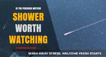 Perseids Meteor Shower: A Celestial Spectacle Worth Staying Up For?
