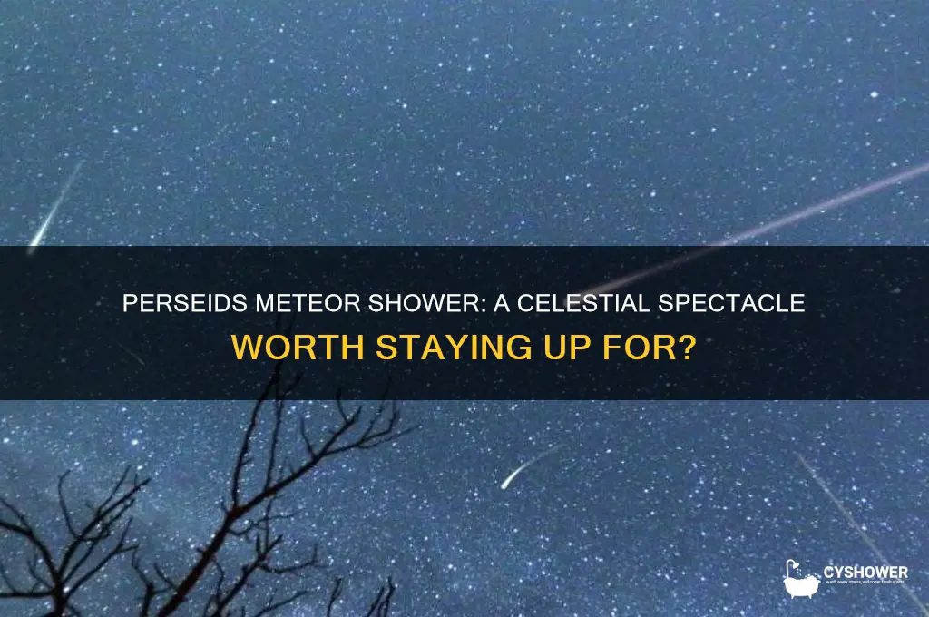 is the perseids meteor shower worth watching