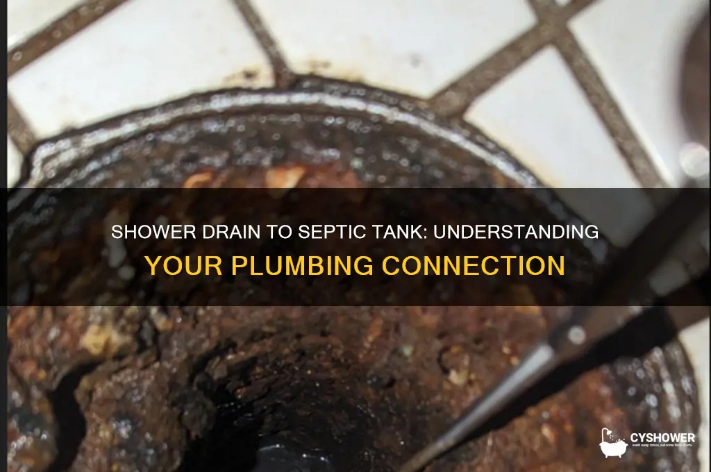 is the shower drain connected to the septic tank