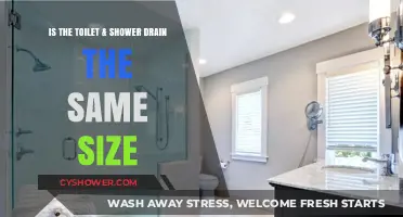 Are Toilet and Shower Drains the Same Size? Find Out Here