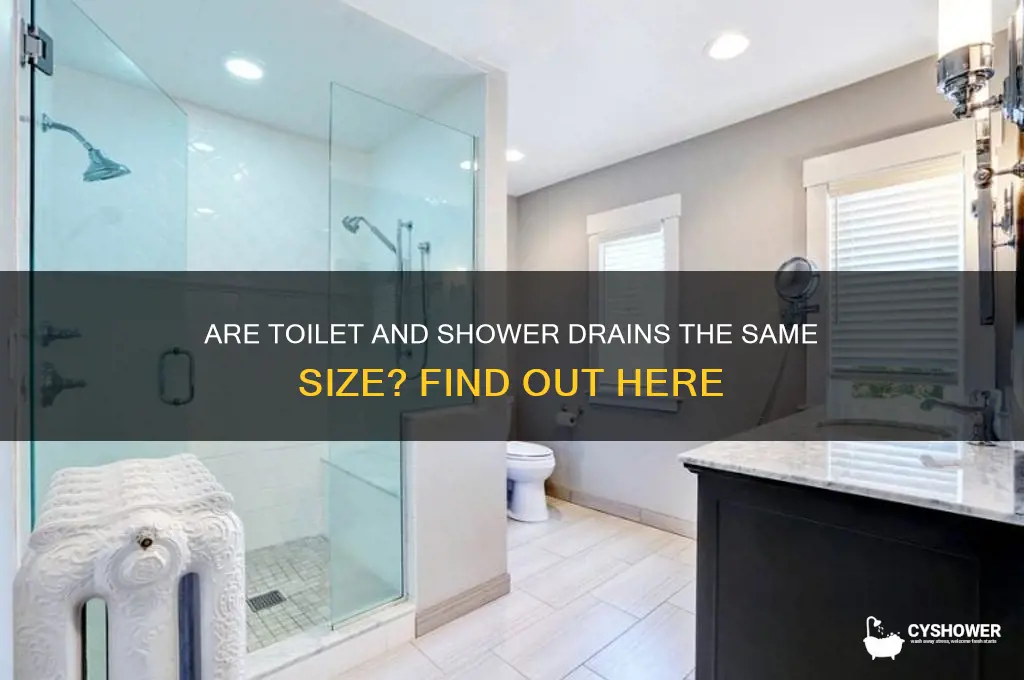 is the toilet & shower drain the same size