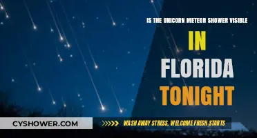 Unicorn Meteor Shower Visibility in Florida Tonight: What to Expect