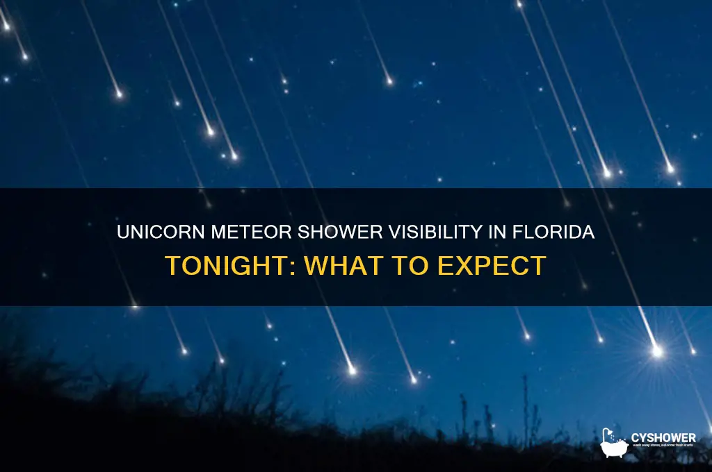 is the unicorn meteor shower visible in florida tonight