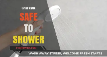 Is Your Shower Water Safe? Essential Tips to Ensure Clean Bathing