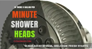 Exploring 5 Gallon Per Minute Shower Heads: Efficiency and Availability