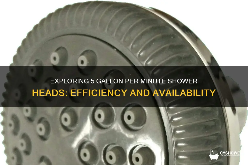 is there 5 gallon per minute shower heads