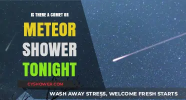 Tonight's Sky: Spot a Comet or Meteor Shower?