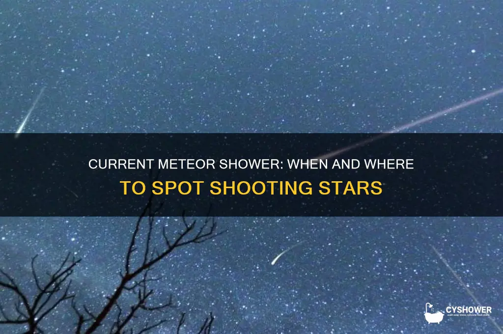 is there a current meteor shower