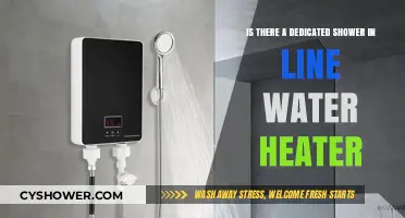 Dedicated Shower In-Line Water Heaters: Are They a Real Option?