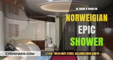 Norwegian Epic Shower Mystery: Does It Have a Door?