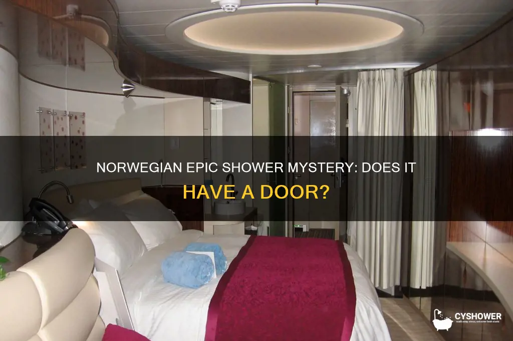 is there a door on norweigian epic shower