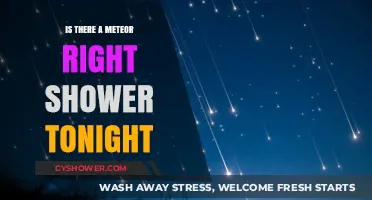 Stargazing Tonight: Spotting the Meteor Shower in the Night Sky