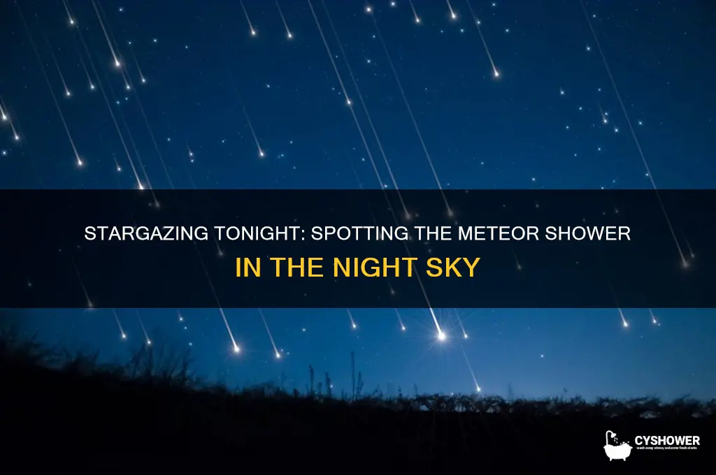 is there a meteor right shower tonight