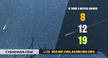 August 12, 2019 Meteor Shower: What to Expect in the Night Sky