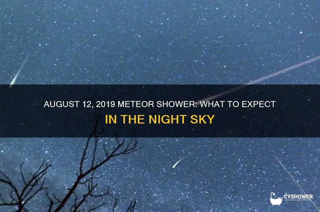 is there a meteor shower 8 12 19