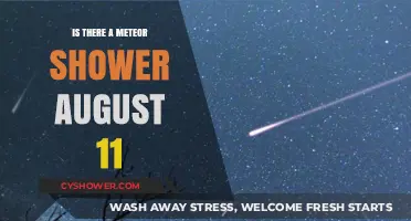 August 11 Meteor Shower: What to Expect in the Night Sky