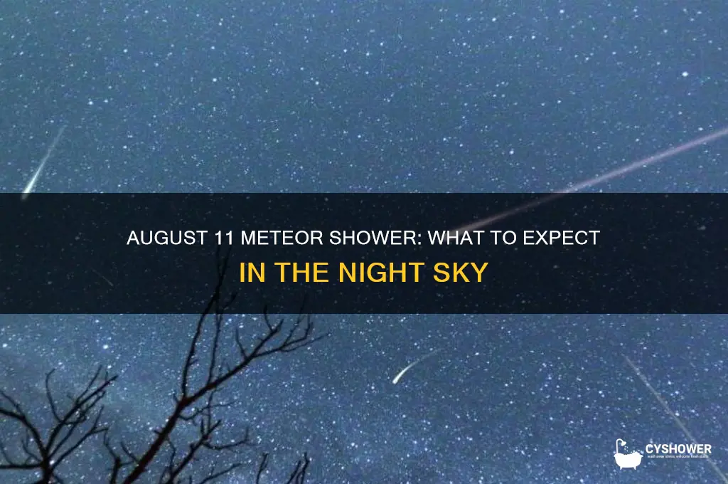 is there a meteor shower august 11