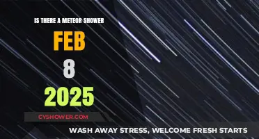 February 8, 2025 Meteor Shower: What to Expect in the Night Sky