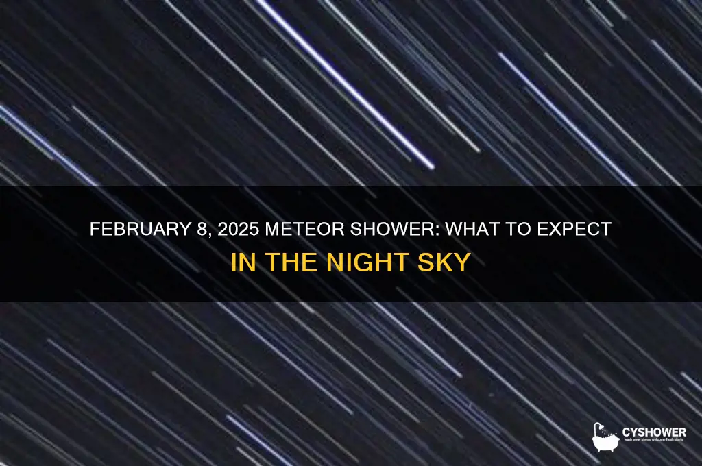 is there a meteor shower feb 8 2025