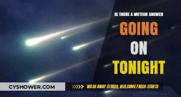 Stargazing Tonight: Meteor Shower Visibility and Peak Times Explained