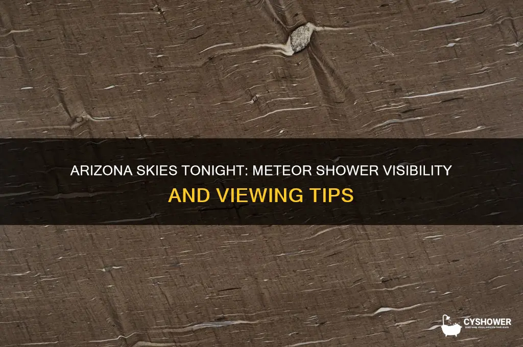is there a meteor shower in arizona tonight