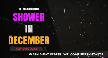 December's Celestial Spectacle: Geminids Meteor Shower Guide and Tips