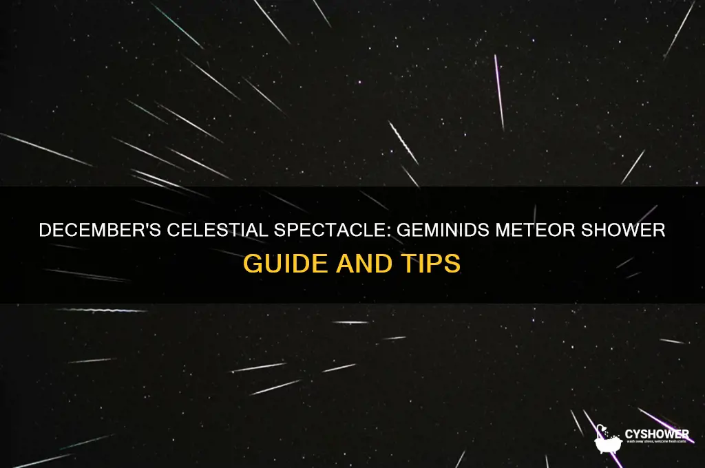 is there a meteor shower in december